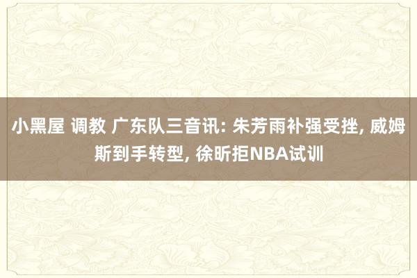 小黑屋 调教 广东队三音讯: 朱芳雨补强受挫, 威姆斯到手转型, 徐昕拒NBA试训