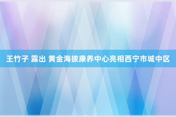 王竹子 露出 黄金海拔康养中心亮相西宁市城中区