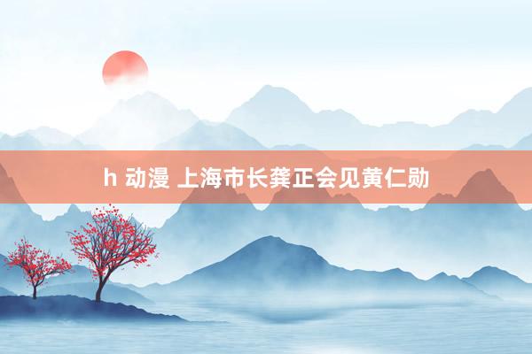 h 动漫 上海市长龚正会见黄仁勋