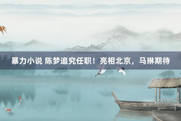 暴力小说 陈梦追究任职！亮相北京，马琳期待