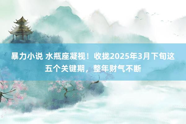 暴力小说 水瓶座凝视！收拢2025年3月下旬这五个关键期，整年财气不断