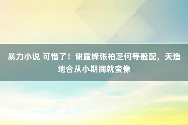 暴力小说 可惜了！谢霆锋张柏芝何等般配，天造地合从小期间就蛮像