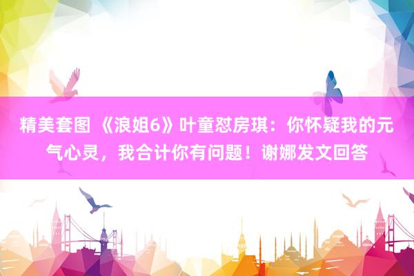 精美套图 《浪姐6》叶童怼房琪：你怀疑我的元气心灵，我合计你有问题！谢娜发文回答