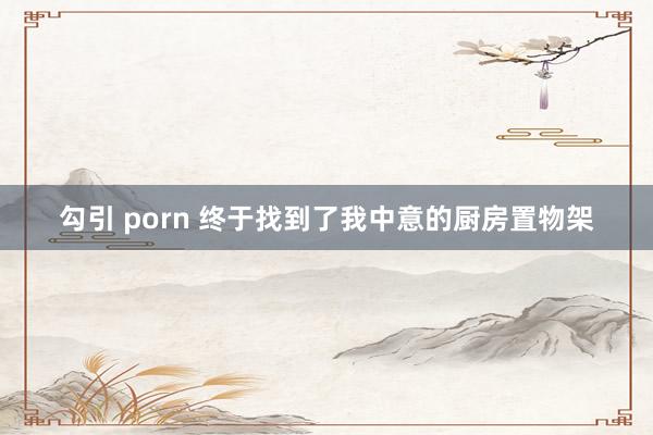 勾引 porn 终于找到了我中意的厨房置物架