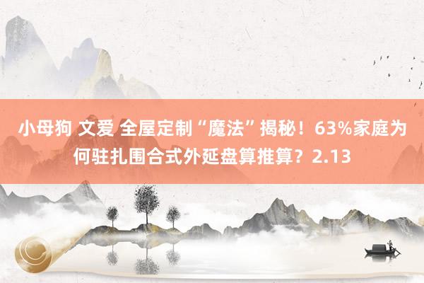 小母狗 文爱 全屋定制“魔法”揭秘！63%家庭为何驻扎围合式外延盘算推算？2.13